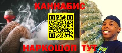 spice Гай
