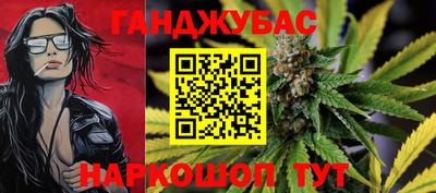 spice Гай