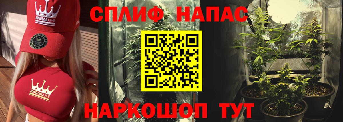 Канабис Ganja  Конопля семена  Конопля ГИДРОПОН  Малгобек  Вход с VPN 